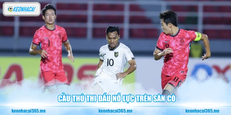 Cầu thủ thi đấu nỗ lực trên sân cỏ