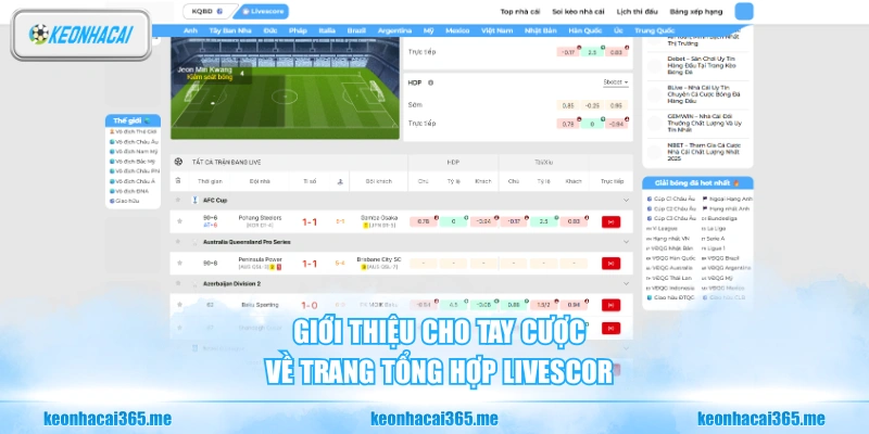 Giới thiệu cho tay cược về trang tổng hợp Livescor