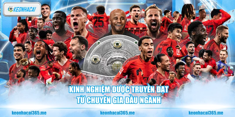 Kinh nghiệm được truyền đạt từ chuyên gia đầu ngành