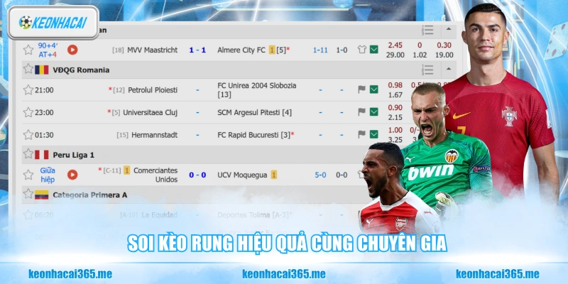Soi kèo rung hiệu quả cùng chuyên gia
