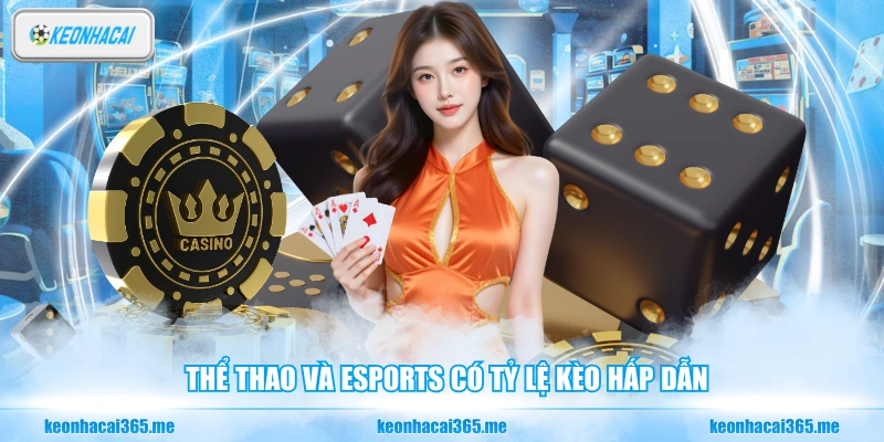 Vin88 - Đánh Giá Toàn Diện Nhà Cái Cá Cược Uy Tín Hàng Đầu 2 Thể thao và eSports có tỷ lệ kèo hấp dẫn