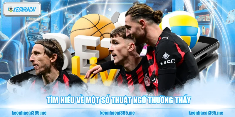 Tìm hiểu về một số thuật ngữ thường thấy